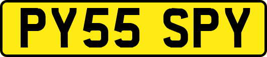 PY55SPY