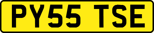 PY55TSE