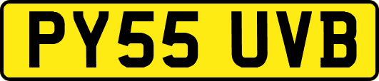PY55UVB