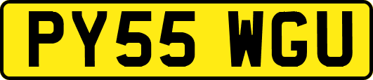 PY55WGU