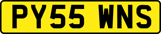 PY55WNS