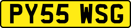 PY55WSG