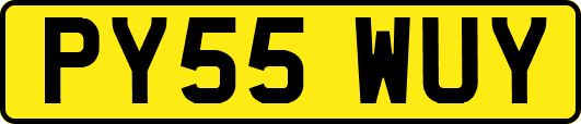 PY55WUY