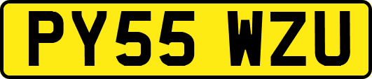 PY55WZU