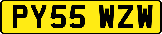 PY55WZW