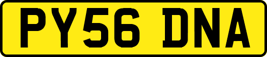 PY56DNA