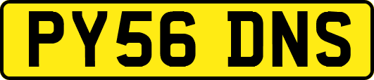 PY56DNS