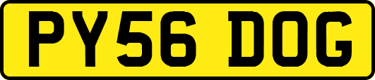 PY56DOG