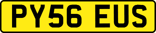 PY56EUS