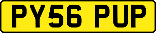 PY56PUP
