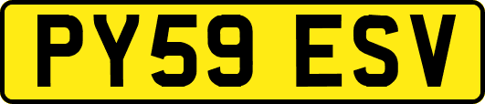 PY59ESV