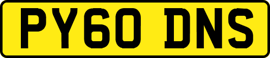PY60DNS