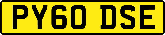 PY60DSE