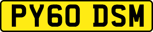 PY60DSM
