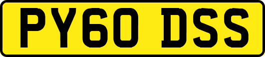 PY60DSS