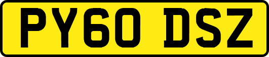 PY60DSZ