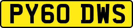 PY60DWS