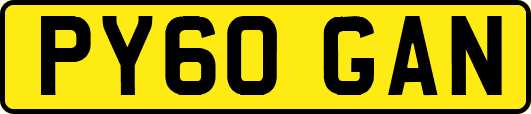 PY60GAN