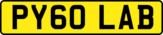 PY60LAB