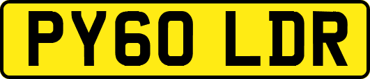 PY60LDR