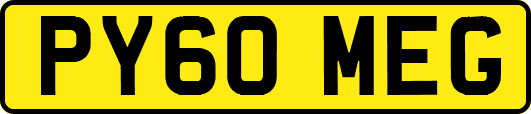 PY60MEG