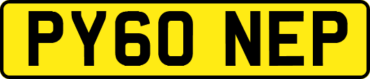 PY60NEP