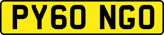 PY60NGO