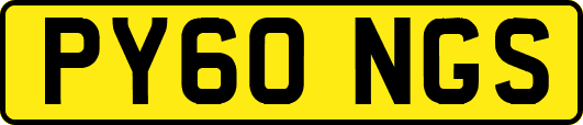 PY60NGS