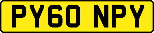 PY60NPY