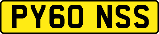 PY60NSS