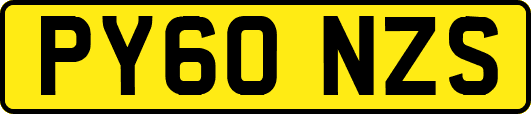 PY60NZS