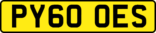PY60OES