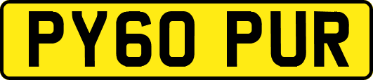 PY60PUR