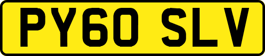 PY60SLV