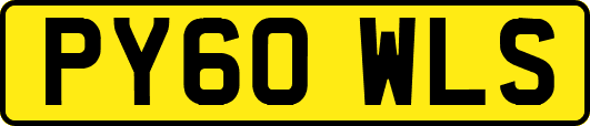 PY60WLS