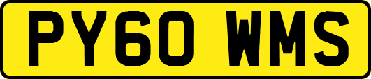 PY60WMS