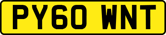 PY60WNT