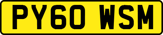PY60WSM