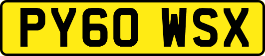 PY60WSX
