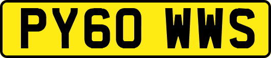 PY60WWS
