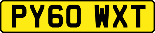 PY60WXT