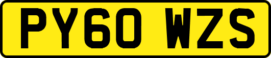 PY60WZS