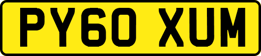 PY60XUM