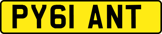 PY61ANT