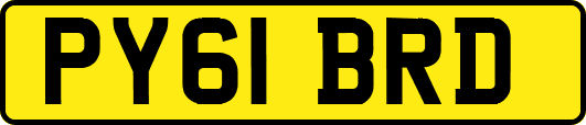 PY61BRD
