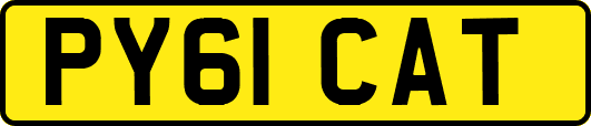 PY61CAT