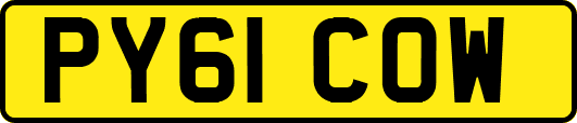 PY61COW
