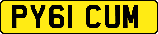 PY61CUM