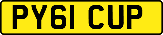 PY61CUP