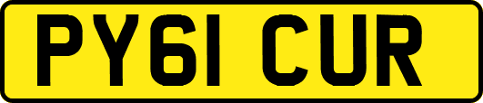 PY61CUR